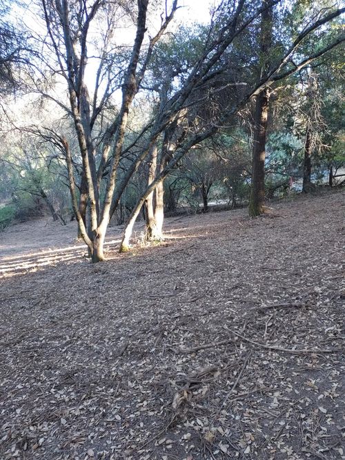 110 Gold Dust Trail, Sutter Creek, CA, 95685 | Card Image