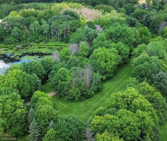 Long winding driveway with overhanging trees lead to dramatic entrance. | Image 90