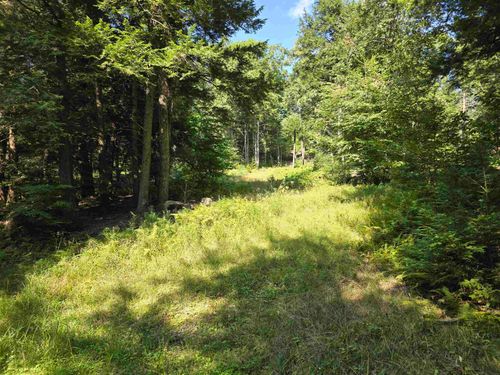 0 Magee Rd., Stamford, VT, 05352 | Card Image