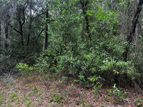 TBD Sw 186th Ct., DUNNELLON, FL, 34432 | Card Image