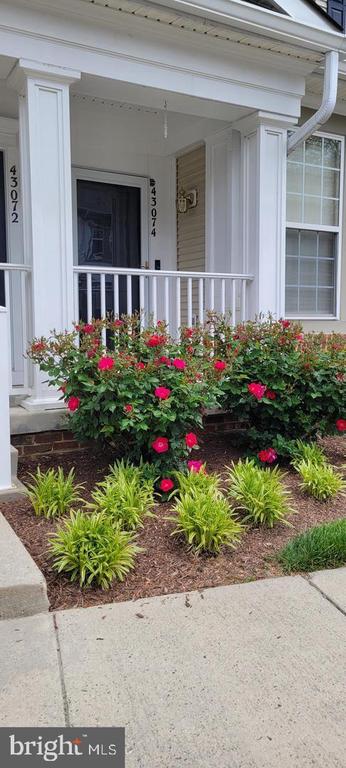 Residential Lease in ASHBURN 2