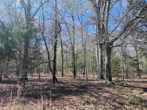 0 Wheeler Rogers Rd, Rupert, GA, 31081 | Card Image