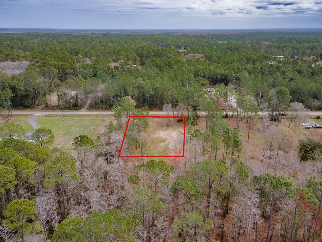 1718 Papaya St, Home with 0 bedrooms, 0 bathrooms and null parking in BUNNELL FL | Image 6