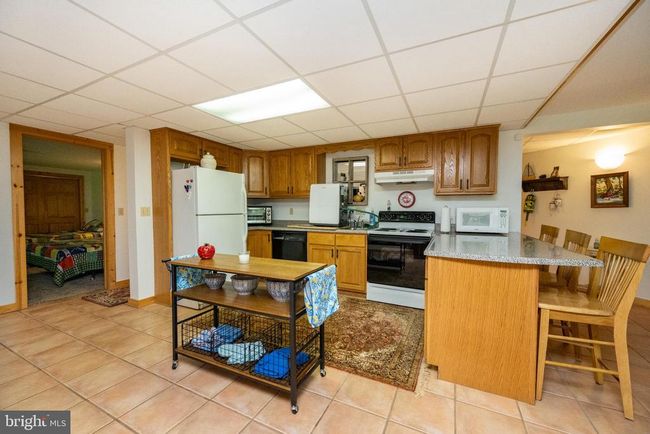 532 Pine Grove Rd, House other with 4 bedrooms, 4 bathrooms and null parking in LONACONING MD | Image 73