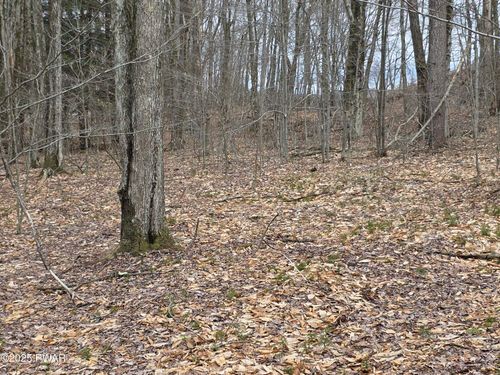 Lot #2 Crosstown Hwy, Lakewood, PA, 18439 | Card Image