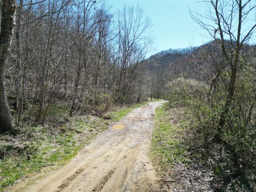 9999 Hales Fork Rd, Flat Lick, KY, 40935 | Card Image