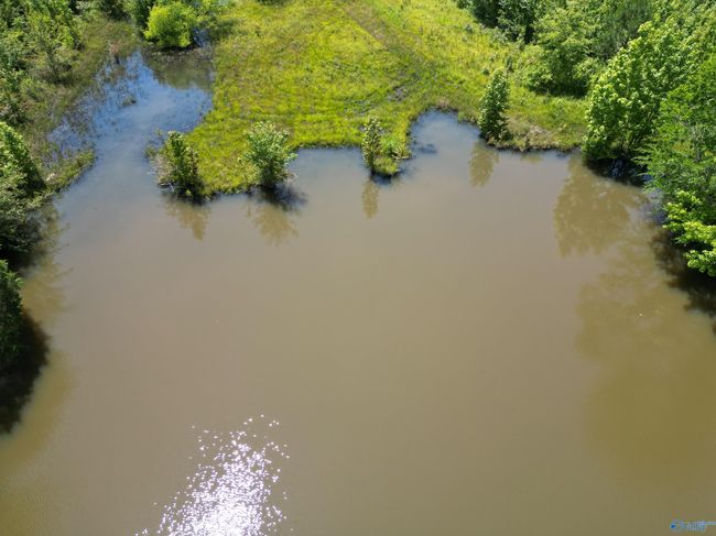 14 Acres Beaver Creek Rd, Home with 0 bedrooms, 0 bathrooms and null parking in Laceys Spring AL | Image 12