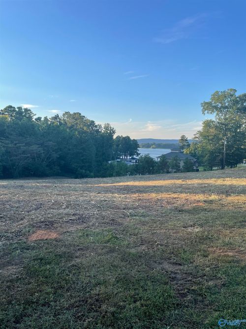 Lot 48 Onondaga Cir, Langston, AL, 35755-7056 | Card Image