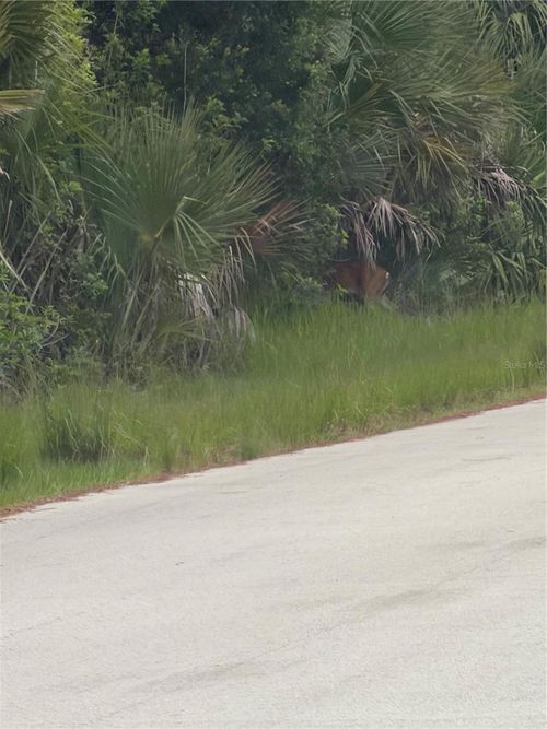TBD Sw 129th Loop, OCALA, FL, 34473 | Card Image