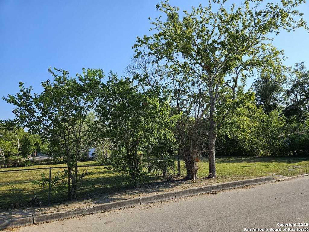 Land in Seguin 3