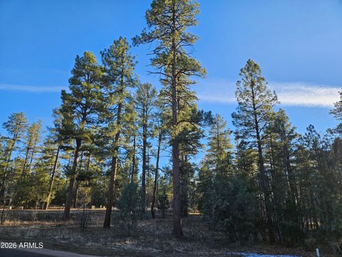 2500 S Pinegrass Road, Show Low, AZ, 85901 | Card Image