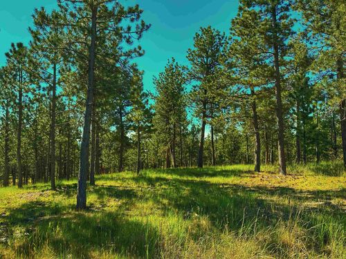 TBD Remington Rd, Sundance, WY, 82729 | Card Image