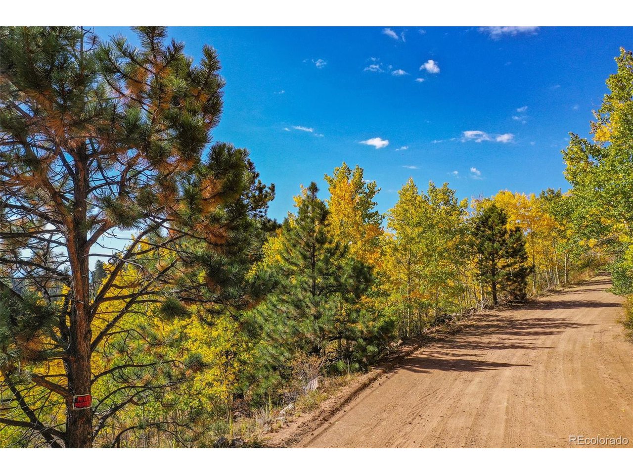 Land in Cripple Creek 3