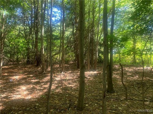 9164 Gowanda State Rd, Eden, NY, 14057-9553 | Card Image