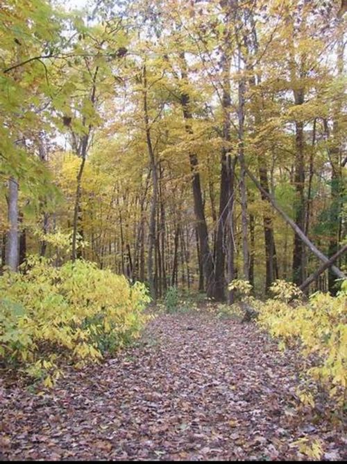 97 ac Fritz Road, MONTROSE, WI, 53593 | Card Image