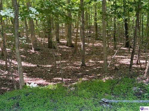 Lot 569 Raspberry Ct, Brandenburg, KY, 40108 | Card Image