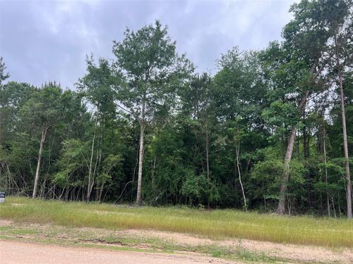 TBD Ellwood Dr, Livingston, TX, 77351 | Card Image