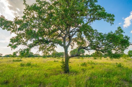 0000 Long View Ranch, Johnson City, TX, 78636 | Card Image