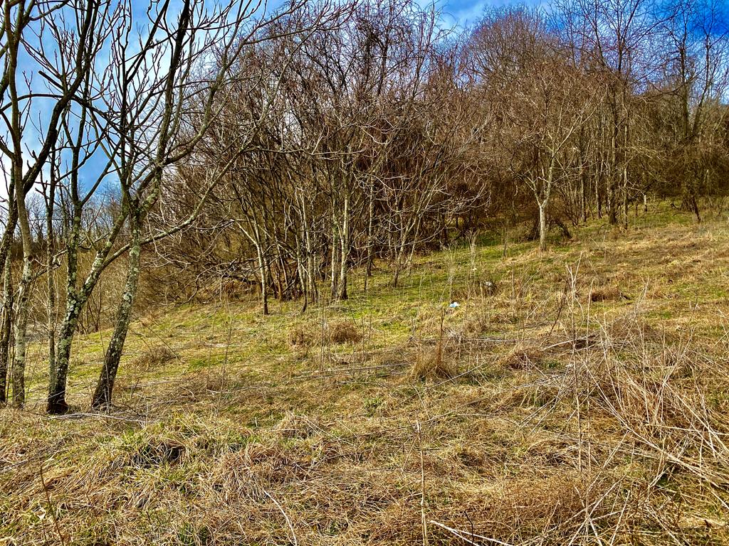 Land in Marion 2