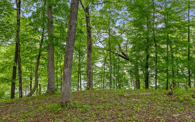 15913 Channel Point Dr, Home with 0 bedrooms, 0 bathrooms and null parking in Sale Creek TN | Image 19
