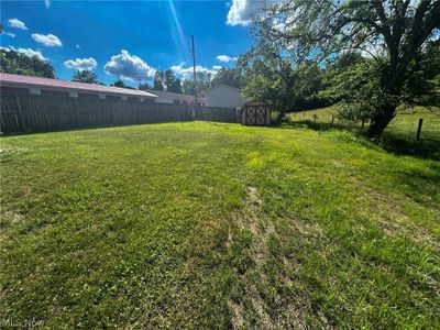 View of yard with a shed | Image 3