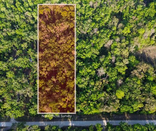 202 Ne 639th St, Old Town, FL, 32680-3339 | Card Image