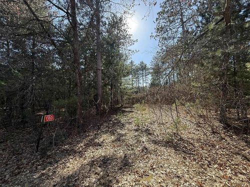 1383 W 11th Court Court, Preston, WI, 53934 | Card Image