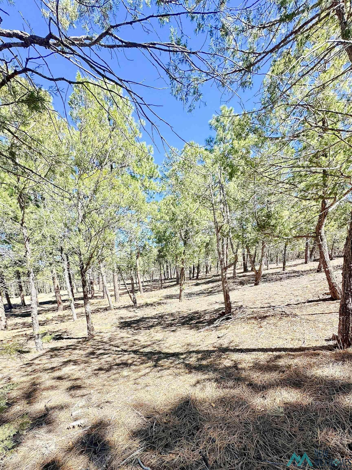 Land in Tijeras 4