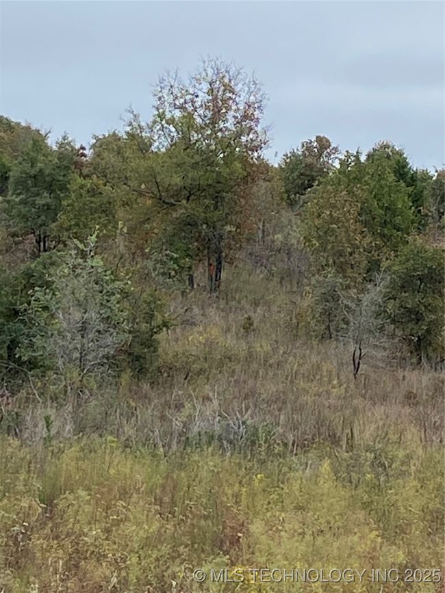 13164 S Skylark Rd, Home with 0 bedrooms, 0 bathrooms and null parking in Lane OK | Image 27