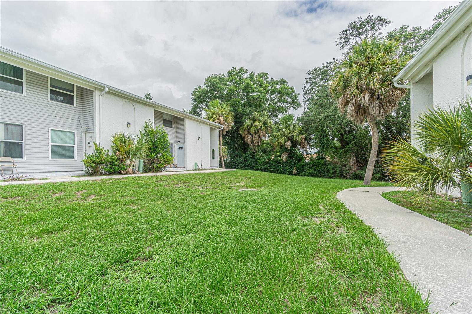 Jackson Springs Rd, Tampa, FL 33634