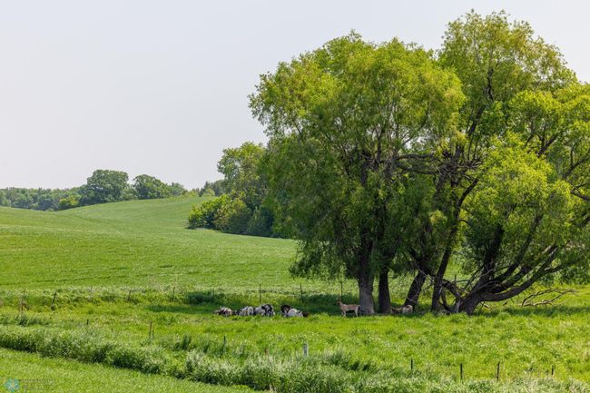 Amdak__Fosston MN - Land_0012.jpg | Image 13