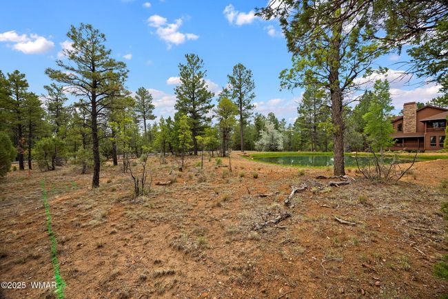 4021WRedtwigLn-ShowLow-AZ-1 | Image 32