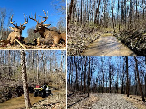woods-turkey-run-tract-5-0 Dutch Ridge Road, New Lexington, OH, 43764 | Card Image