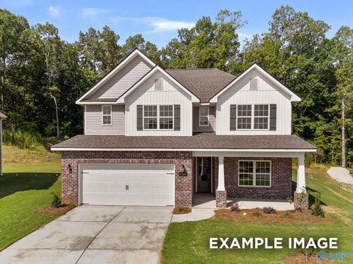 117 Cotita Dr, Toney, AL, 35773-5736 | Card Image