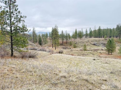 0 Cayuse Cove Rd N, Davenport, WA, 99122 | Card Image