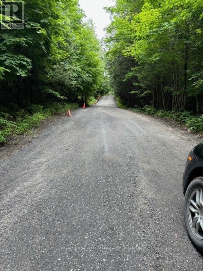 Lot 70 25th Line, Home with 0 bedrooms, 0 bathrooms and null parking in Algonquin Highlands (Stanhope) ON | Image 11