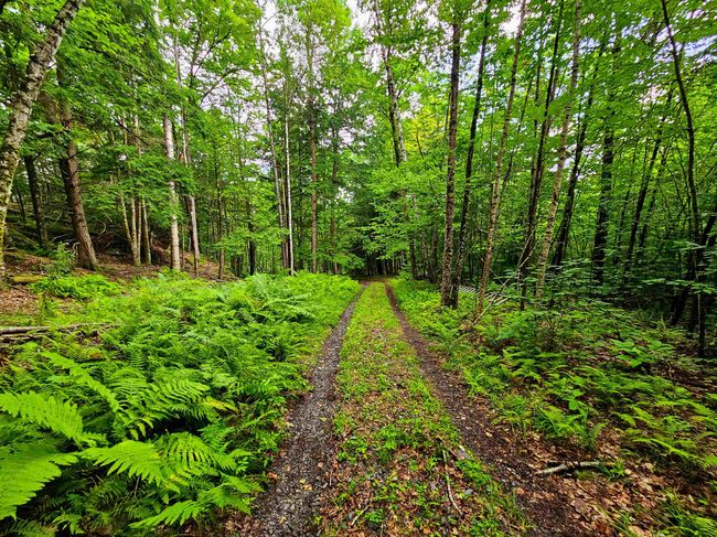 873 Royston Rdg, House other with 2 bedrooms, 0 bathrooms and null parking in Wells River VT | Image 29