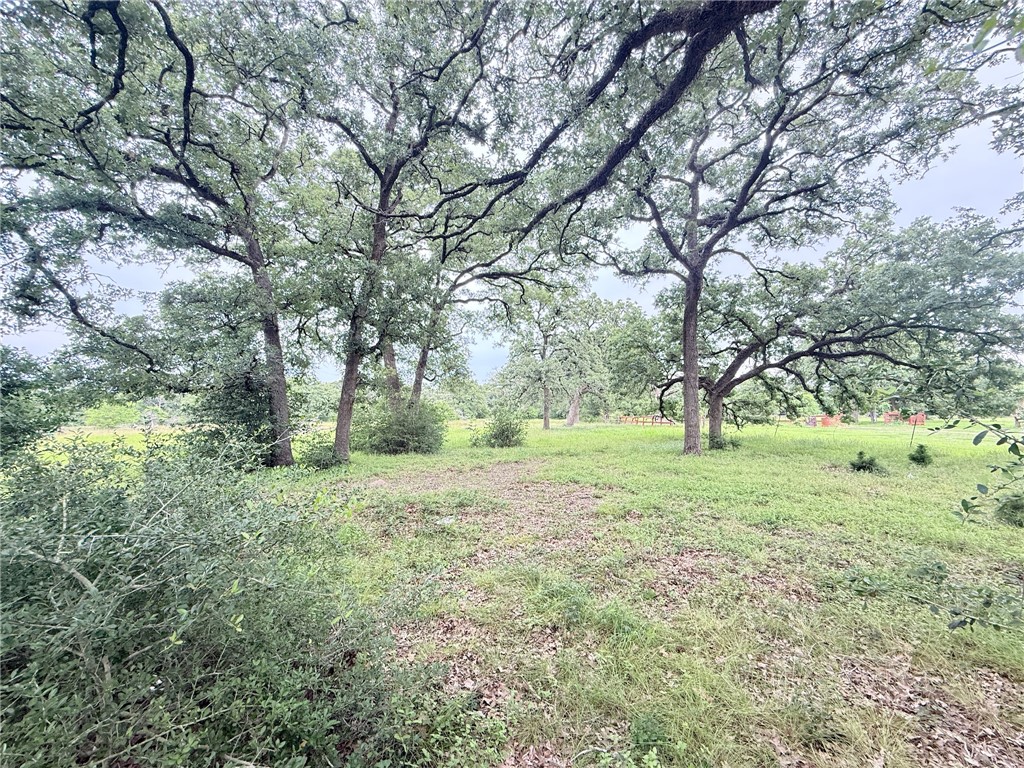 Land in Bryan 2