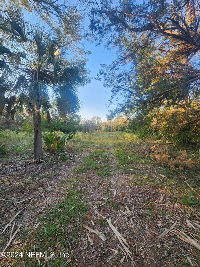 5150 Jody Morgan Rd E, Home with 0 bedrooms, 0 bathrooms and null parking in Perry FL | Image 4