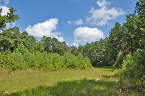 0 Buckhorn Rd, Bullock, NC, 27507 | Card Image