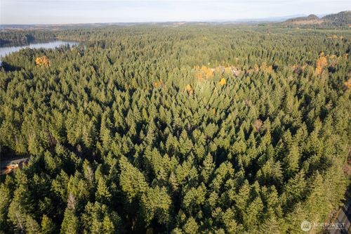 0 Bald Hill Rd Se, Yelm, WA, 98597 | Card Image