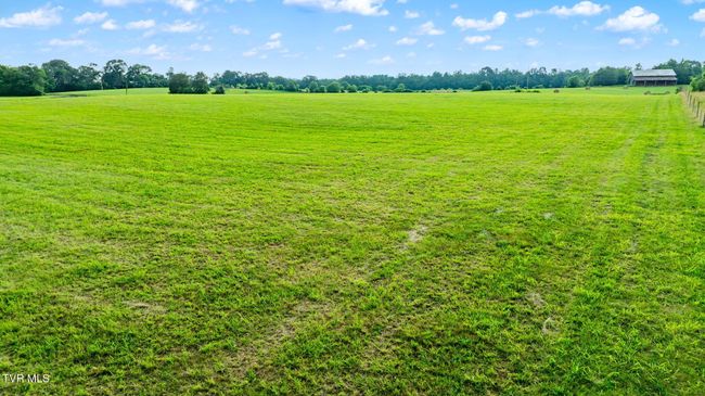 185 Lester Snapp Rd, Home with 0 bedrooms, 0 bathrooms and null parking in Limestone TN | Image 10