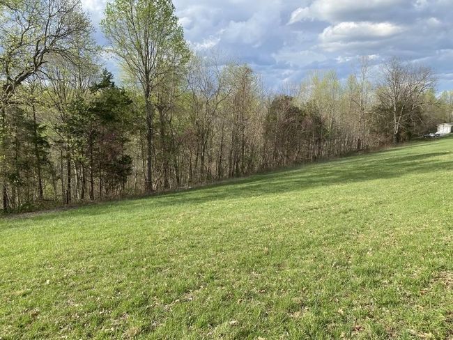 0 Carthage Rd, Home with 0 bedrooms, 0 bathrooms and null parking in Pleasant Shade TN | Image 7