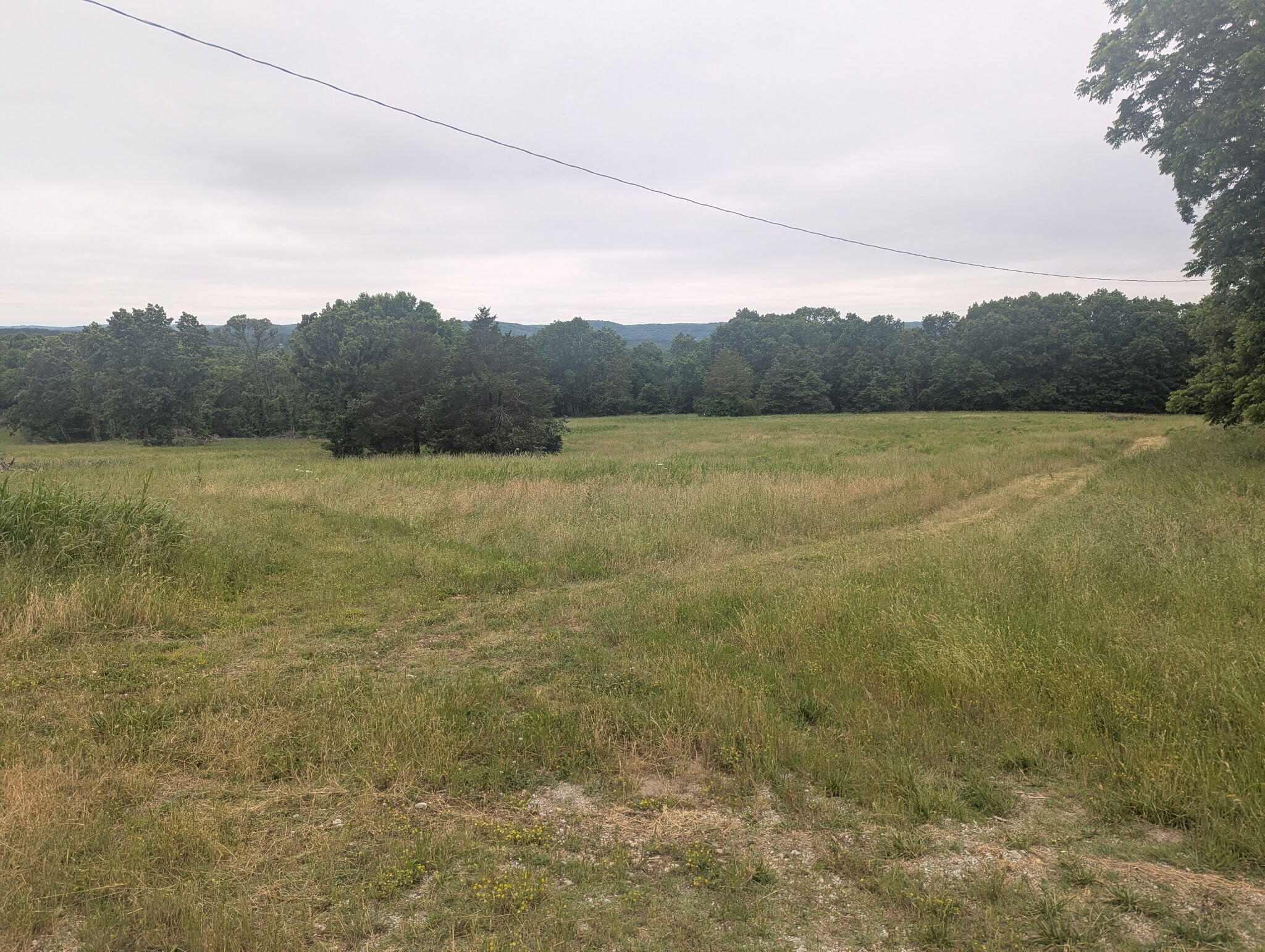 Land in Cape Fair 5