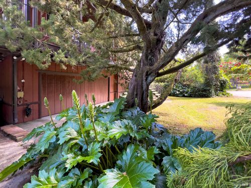 14600 Drake Rd, Guerneville, CA, 95446-9440 | Card Image