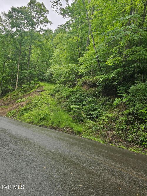 1068 Lesters Fork Rd, Grundy, VA, 24614 | Card Image