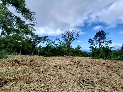 87-457 Kaohe Mauka Rd, Captain Cook, HI, 96704-8744 | Card Image