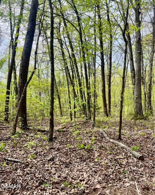 lot-1-2682 Atchley Rd, Sevierville, TN, 37876-1000 | Card Image