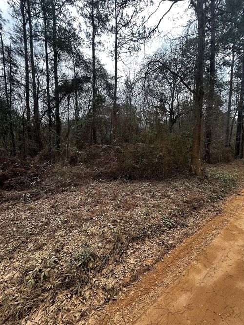 0 County Line Rd, Shepherd, TX, 77371 | Card Image