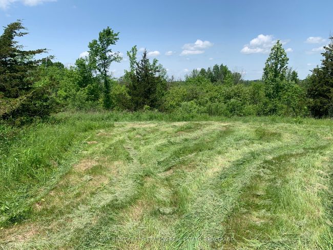 00 Buttermilk Falls Rd, Home with 0 bedrooms, 0 bathrooms and null parking in Roblin ON | Image 10